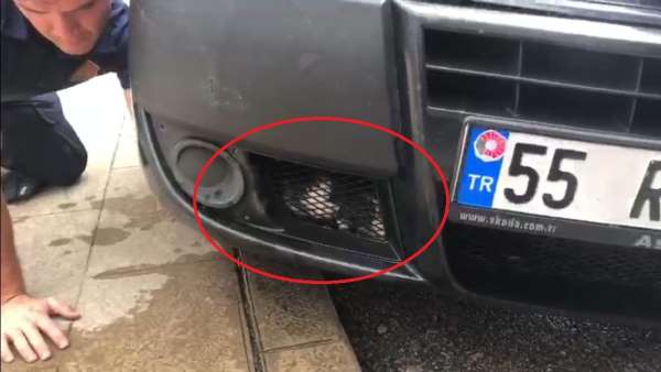 Aracın motor kısmına giren yavru kediyi itfaiye kurtardı