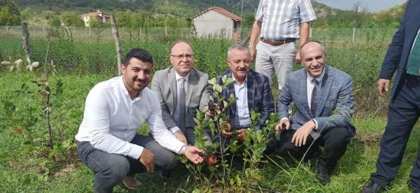 Zonguldak'ta aronya meyvesinin hasadı gerçekleştirildi