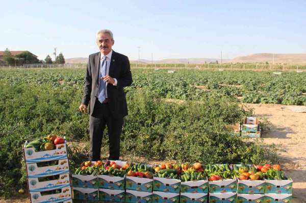 Karaman'ın Ayrancı ilçesinde halk salatalık ve domatesin kilosunu 1 liradan alıyor
