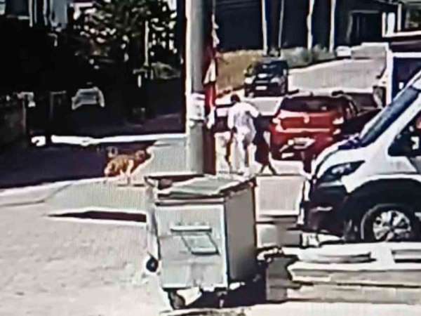 Köpeğini gezdirirken başka bir köpeğin saldırısına uğradı
