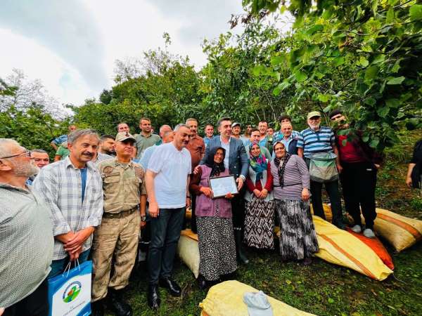 Ordu'da yaklaşık 1 ton fındık cami ihtiyaçları için toplandı