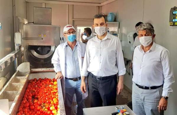 Esgin'den domates üreticisine bir müjde daha