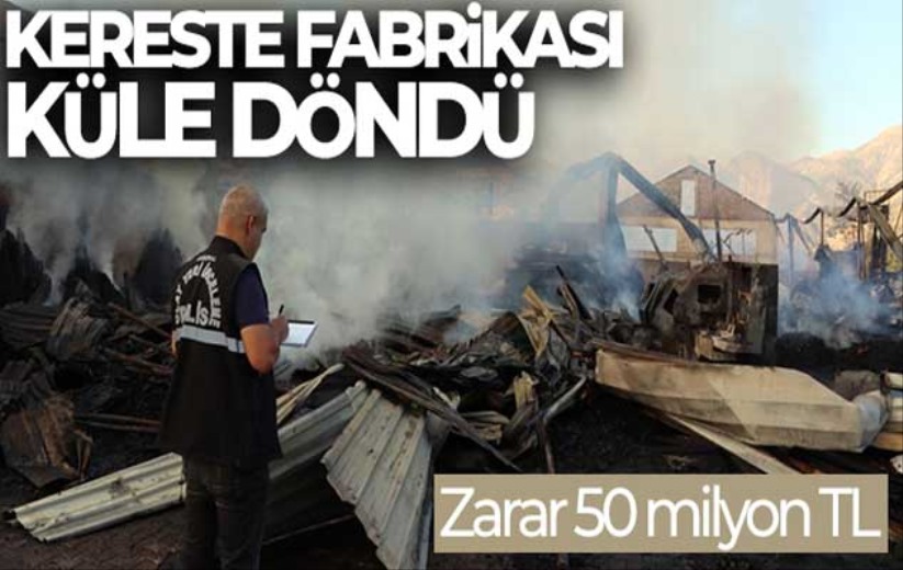 Kereste fabrikası yandı, zarar 50 milyon TL