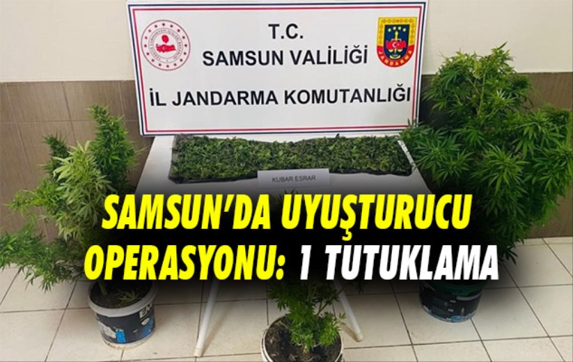 Çarşamba'da uyuşturucu operasyonu: 1 tutuklama