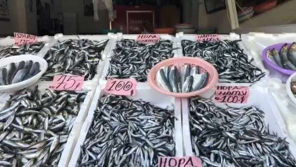 Sezonun ilk yerli hamsisi 100 TL'den tezgahtaki yerini aldı