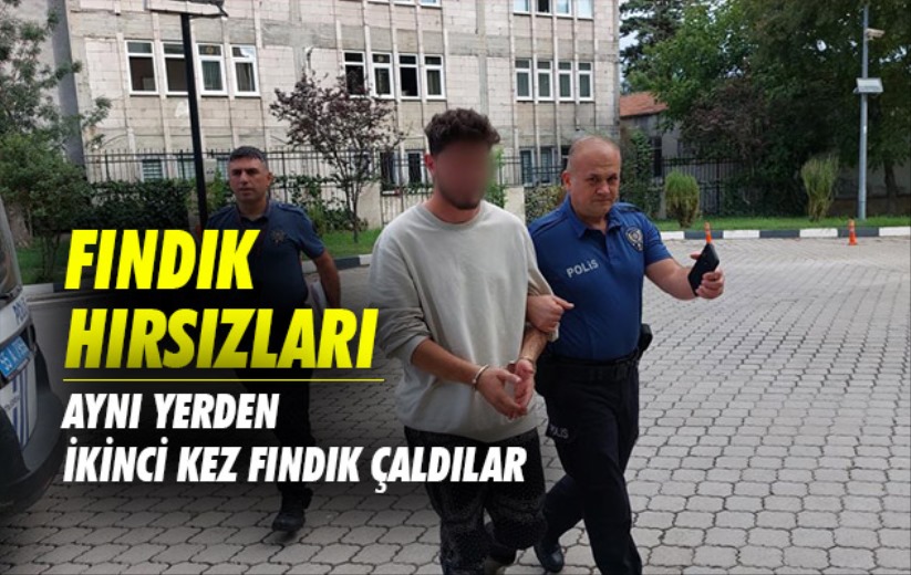 Samsun'da aynı yerden ikinci kez fındık çaldılar