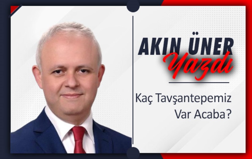 'Kaç Tavşantepemiz Var Acaba?'