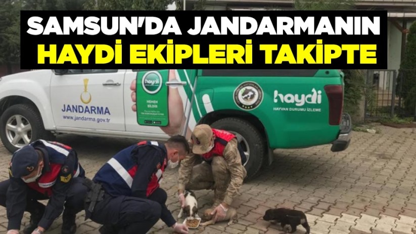 Samsun'da jandarmanın HAYDİ ekipleri takipte
