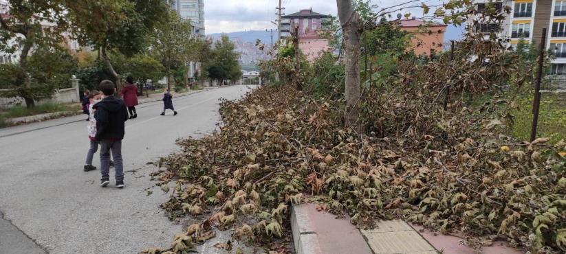 Samsun'da tehlikeli okul yolu