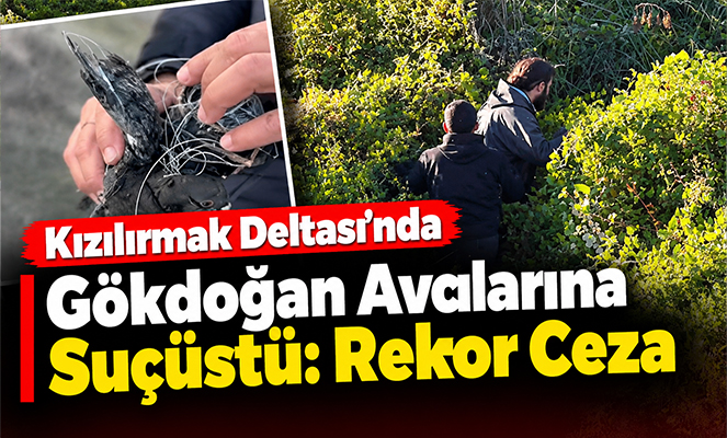Gökdoğan avcıları suçüstü yakalandı: Toplam 1 milyon 566 bin TL ceza uygulandı