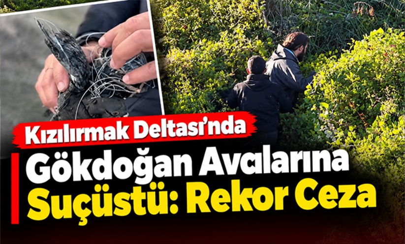 Gökdoğan avcıları suçüstü yakalandı: Toplam 1 milyon 566 bin TL ceza uygulandı