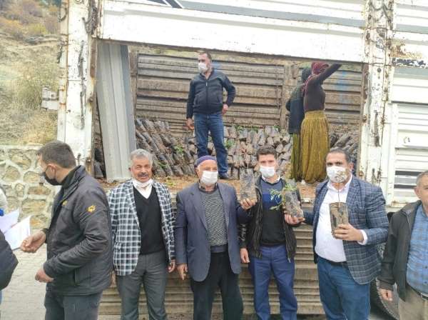 Sason'da çiftçilere 5 bin fıstık fidanı dağıtıldı
