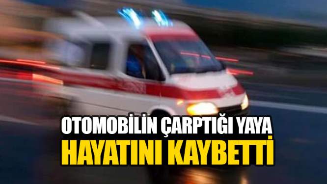 Samsun Haberleri: Yayaya Çarpan Otomobil Can Aldı!