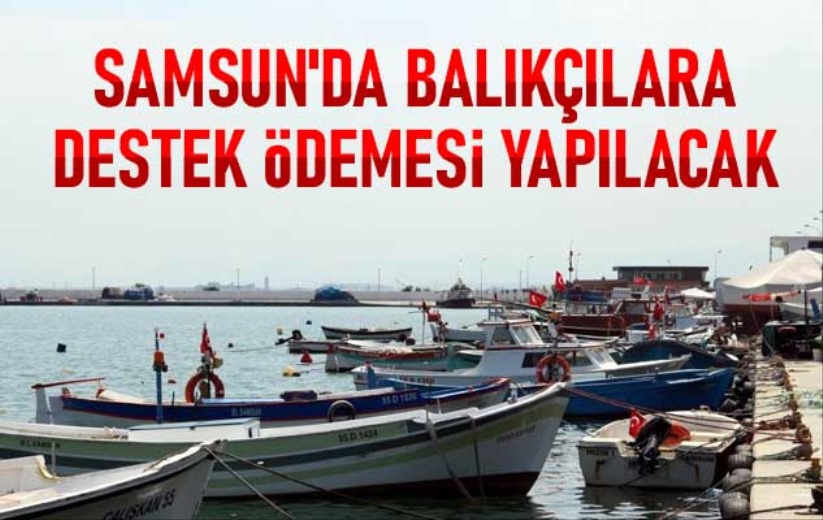 Samsun'da balıkçılara destek ödemesi yapılacak