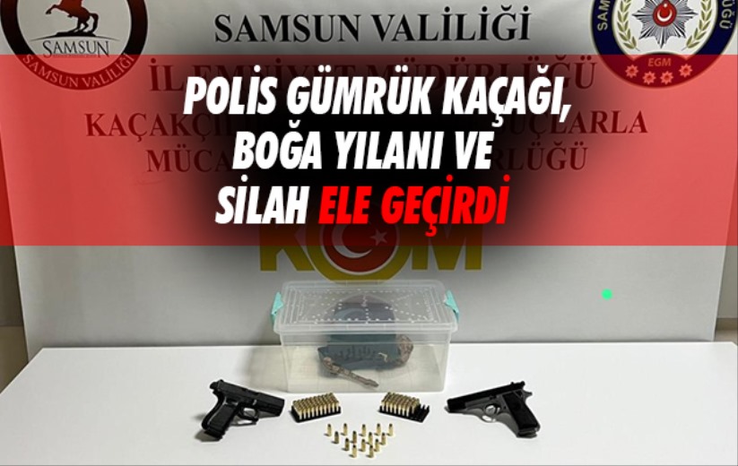 Samsun'da polis gümrük kaçağı boğa yılanı ve silah ele geçirdi