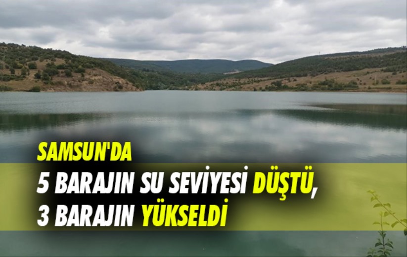 Samsun'da 5 barajın su seviyesi düştü, 3 barajın yükseldi