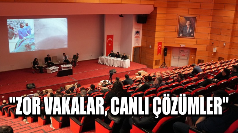 'Zor Vakalar, Canlı Çözümler'