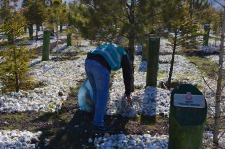 Şehitlik ormanın bakımları yükümlüleri tarafından yapıldı 