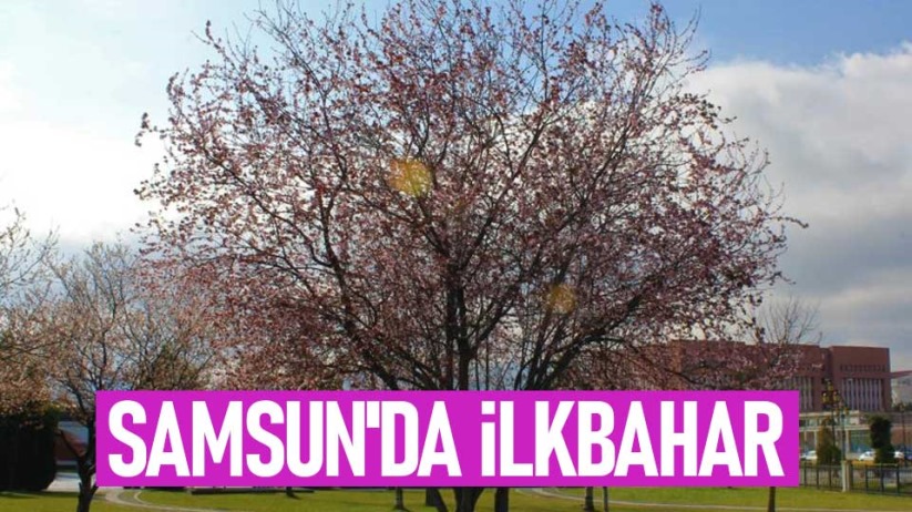 Samsun'da ilkbahar