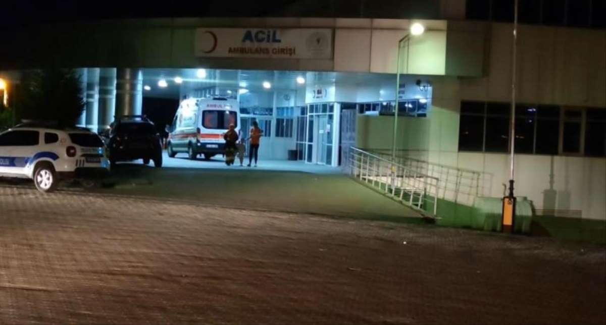 Bingöl'de trafik kazası: 8 yaralı