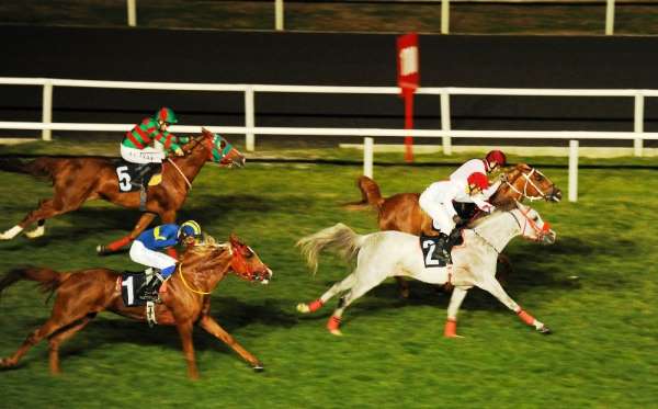 ADÜ Veteriner Fakültesi Koşusunu 'Borantay' kazandı