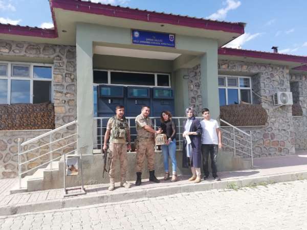 Şırnak'ta kaçak avlanıldığı tespit edilen kınalı keklik ele geçirildi