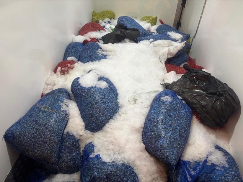 Samsun'da 3,8 ton kaçak avlanmış midye ele geçirildi