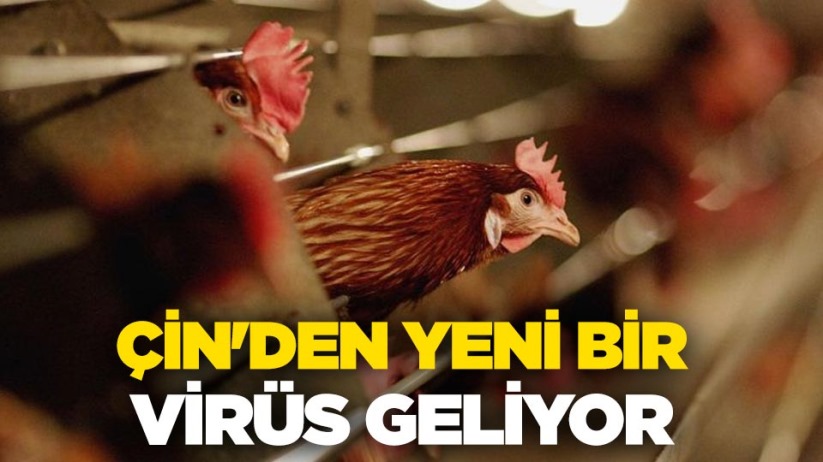 Çin'den yeni bir virüs geliyor