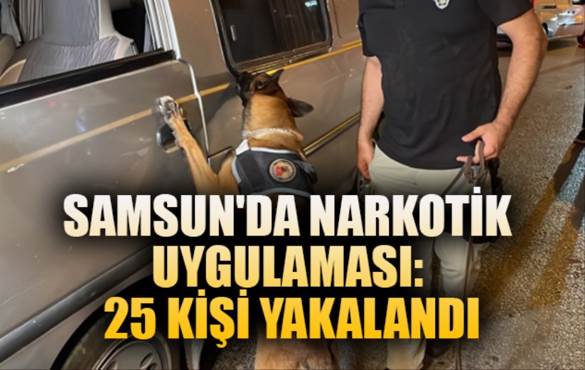 Samsun'da narkotik uygulaması: 25 kişi yakalandı