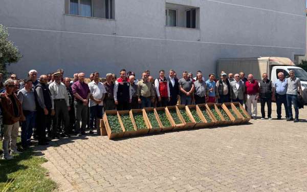 Tekirdağ'da 314 üreticiye 283 bin sebze fidesi dağıtıldı