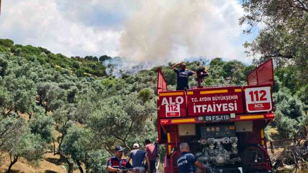 Yenipazar'daki otluk alan yangını kontrol altına alındı