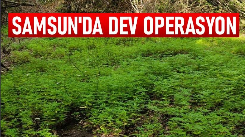 Samsun'da dev operasyon