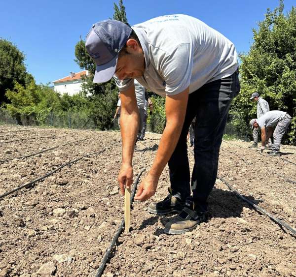 'Çandır Fasulyesi'çiftçiye kazandıracak