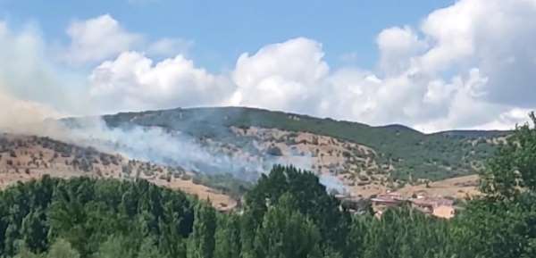 Tokat'taki yangında alevler yerleşim alanına ulaşmadan söndürüldü