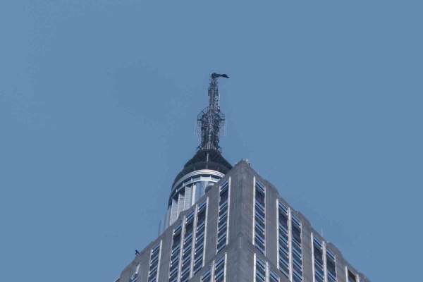 ABD'deki Empire State binasında tehlikeli evlilik teklifi: Rus çift gözaltına alındı