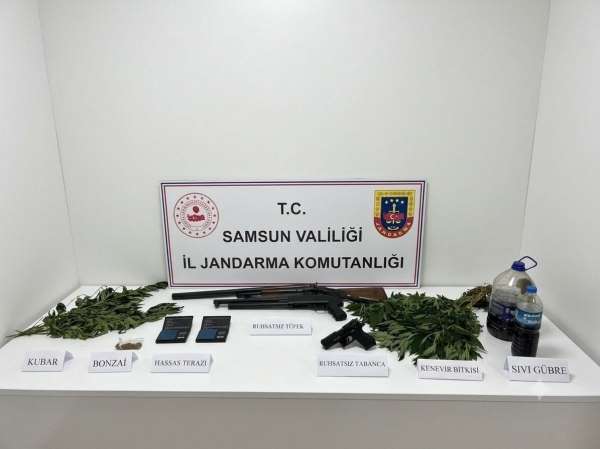 Jandarma uyuşturucu, silah ve kenevir ele geçirildi