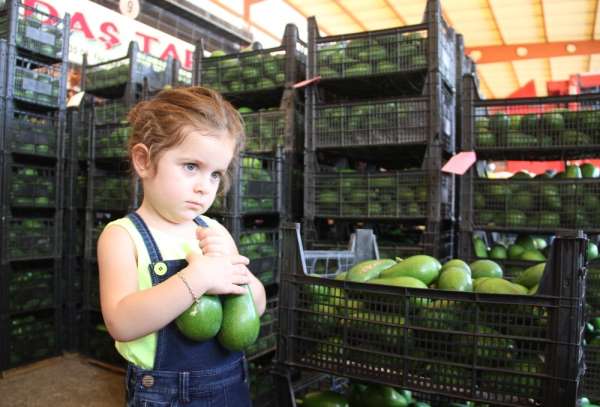 Alanya'dan Ukrayna'ya 3.5 ton avokado ihracatı 
