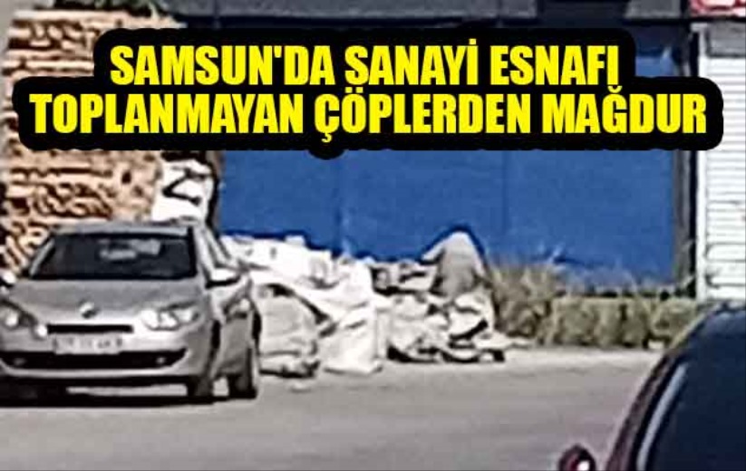 Samsun'da sanayi esnafı toplanmayan çöplerden mağdur