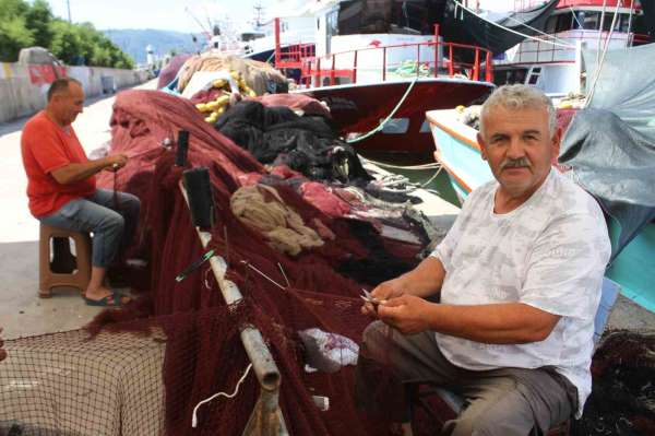 Karadenizli balıkçılar hamsiden umutlu: 'Bu sezon hamsi yılı olacak'