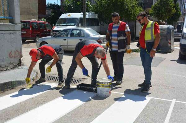 Ordu'da yaya geçitleri ve kasisler yeniden boyandı