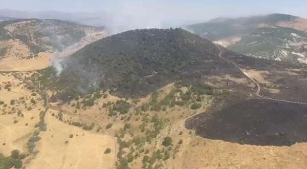 Elazığ'daki orman yangını kontrol altına alındı