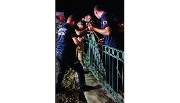 Irmak kenarında mahsur kalan köpeği itfaiye kurtardı