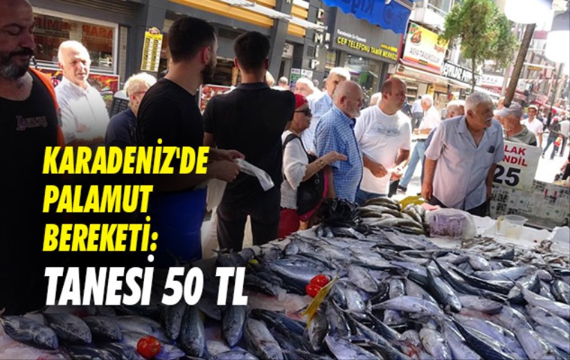 Karadeniz'de palamut bereketi: Tanesi 50 TL