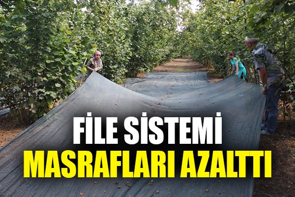 Fındık hasadında file ile yevmiye masrafı azaldı