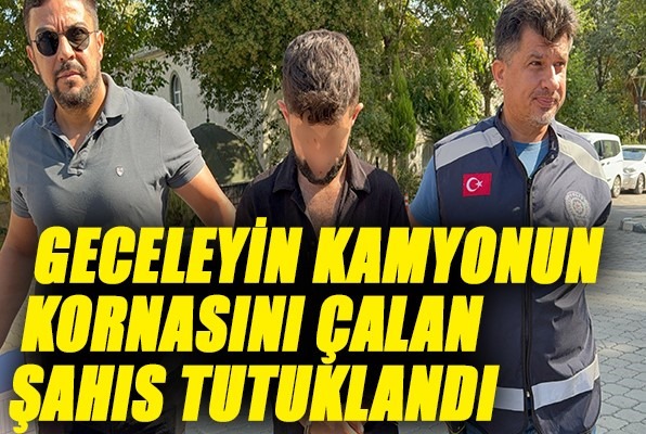Geceleyin kamyonun kornasını çalan şahıs tutuklandı