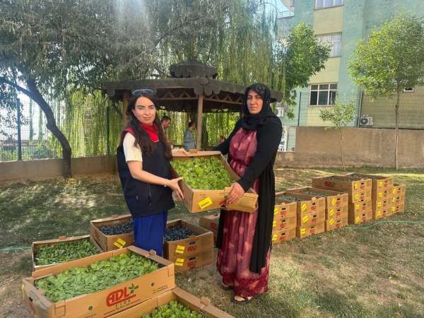 Şırnak'ta TAKE Projesi kapsamında üreticilere fide ve tohum desteği