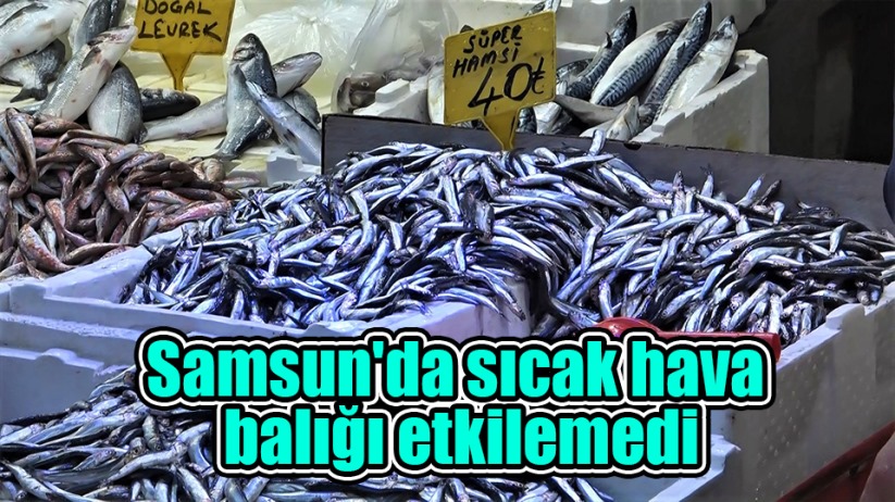 Samsun'da sıcak hava balığı etkilemedi