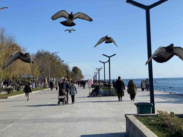 Sinop'ta kış ortasında yaz havası - Sinop haber
