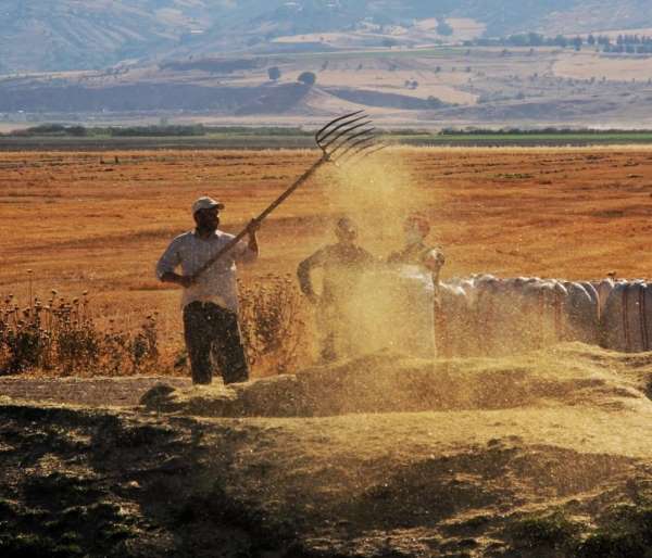 Tarımsal girdi fiyat endeksi bir yılda yüzde 112,41 arttı - Erzincan haber