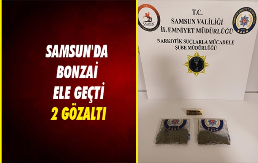 Samsun'da bonzai ele geçti: 2 gözaltı